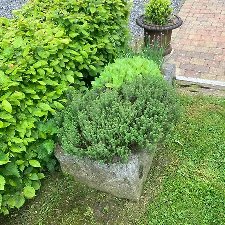 Maison et son jardin situés dans le Condroz Marchin Extérieur photo