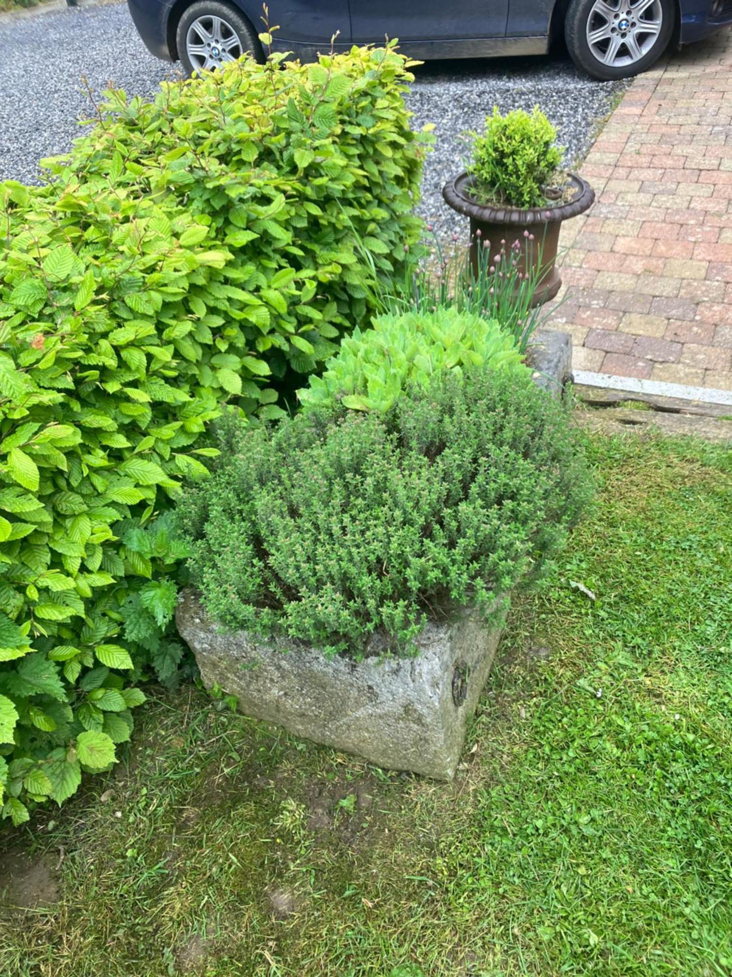 Villa Maison Et Son Jardin Situes Dans Le Condroz *