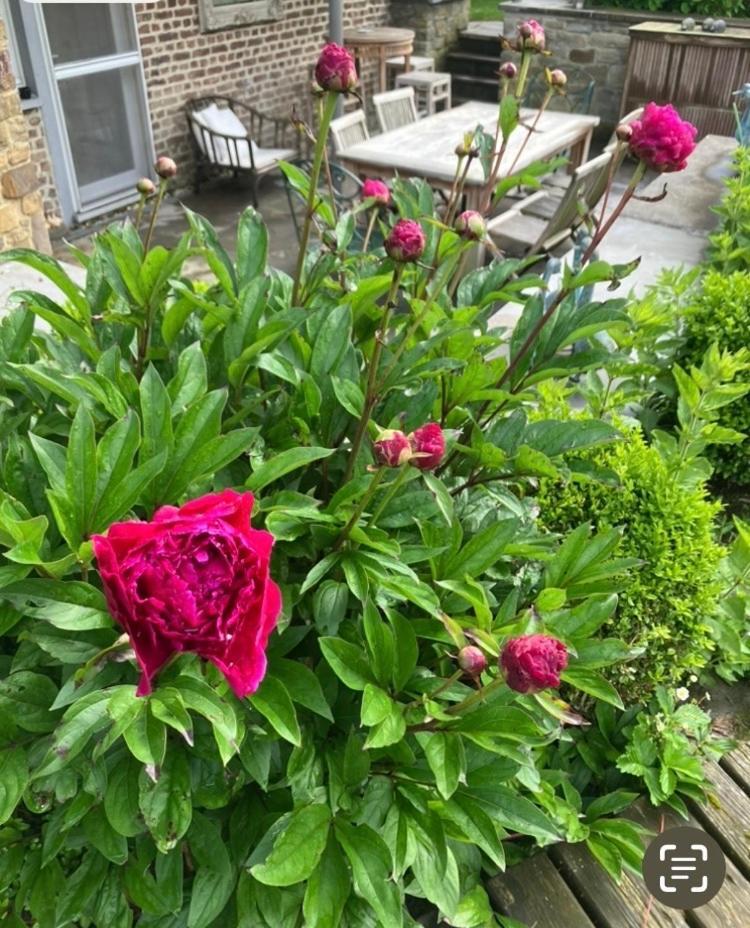 Maison Et Son Jardin Situes Dans Le Condroz
